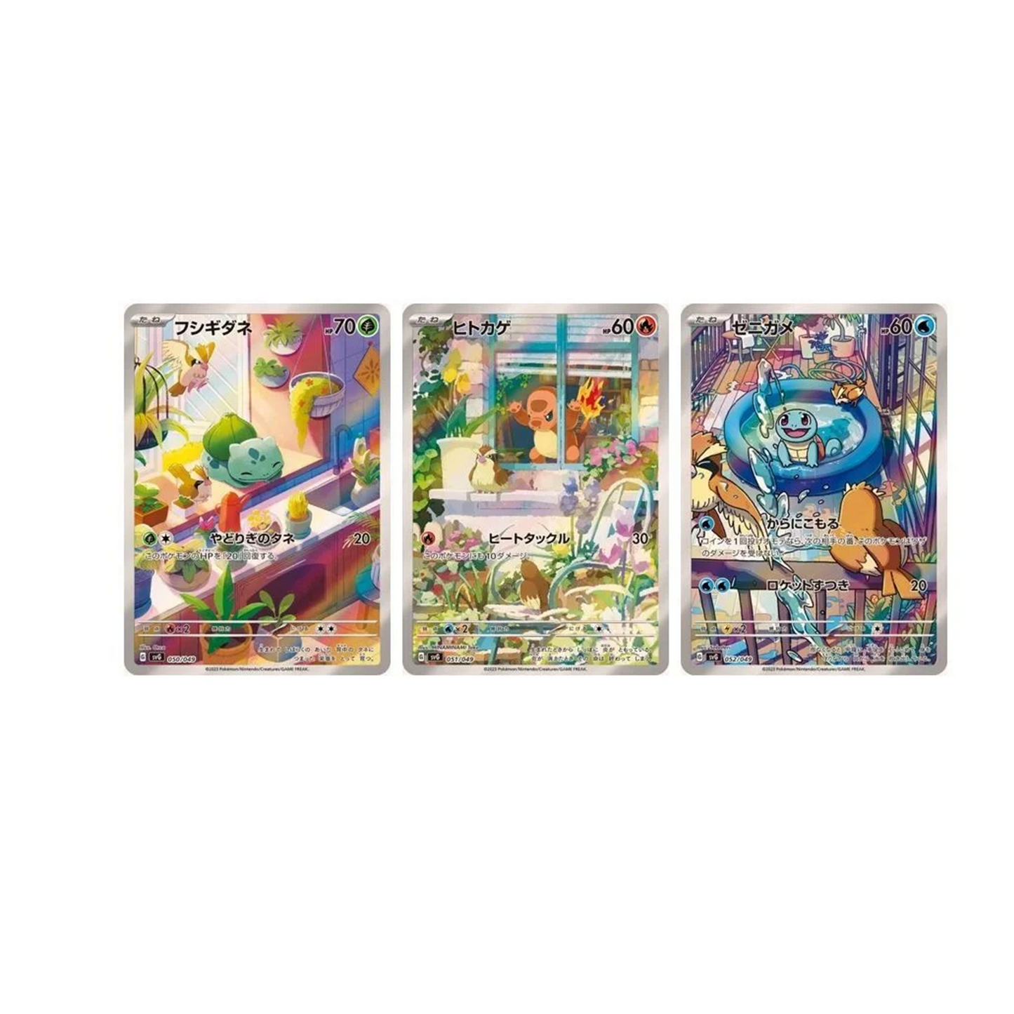 Coffret Premium Florizarre et Dracaufeu & Tortank Japonais